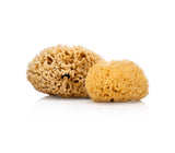 Natural Sea Sponge