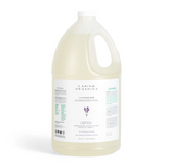 Organic Lavender Shampoo + Body Wash