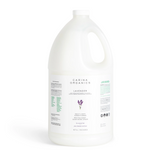 Organic Lavender Daily Light Conditioner