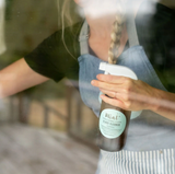 Mint Glass Cleaner
