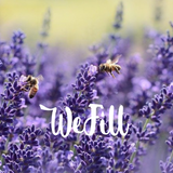 Organic Lavender Shampoo + Body Wash