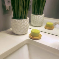 Solid Shampoo Soap Dish